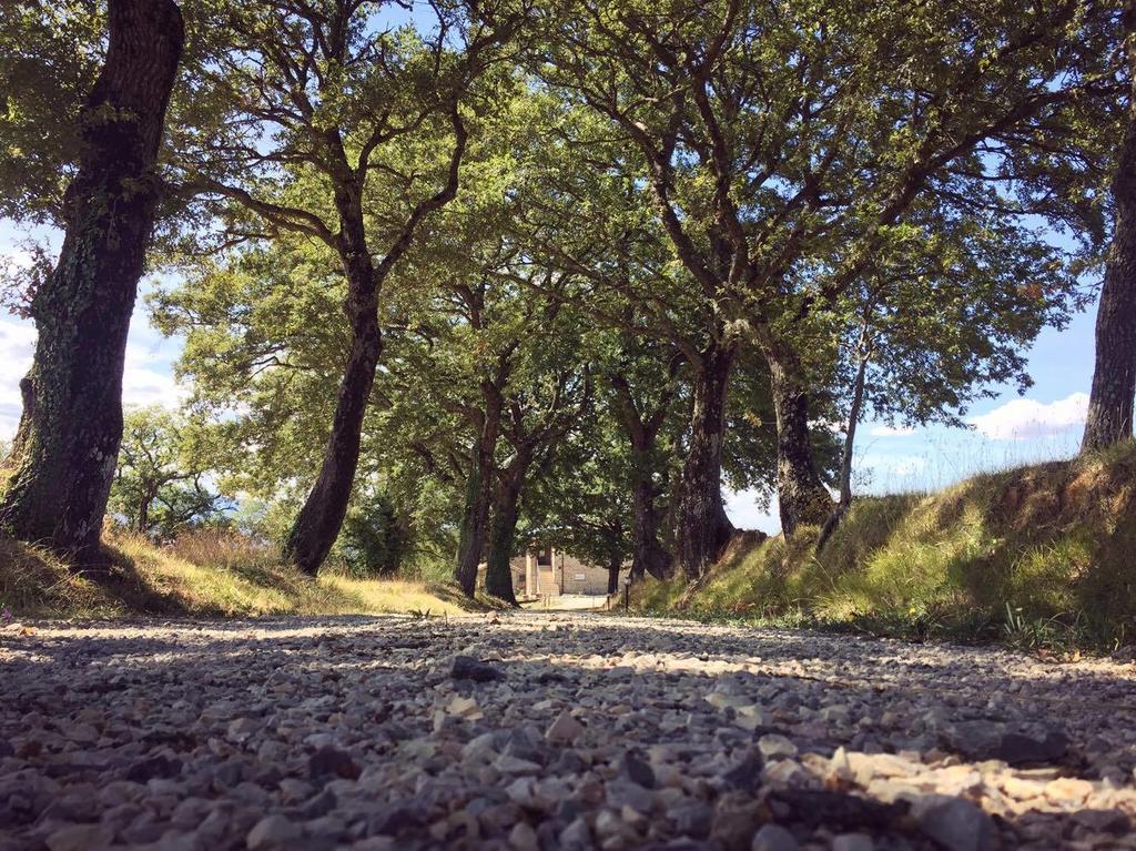 Agriturismo Ipoderi Chianciano Terme Buitenkant foto